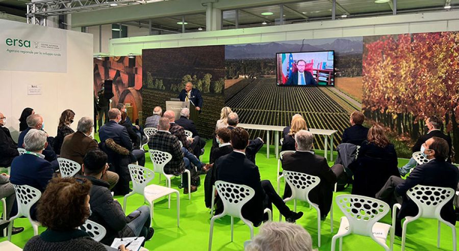 barbatelle coltivazione