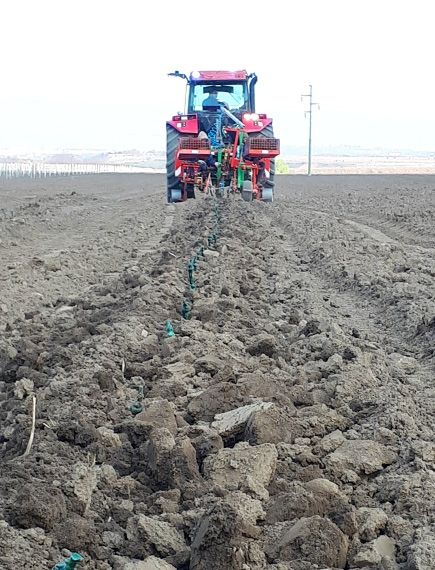 impianto campo terreno